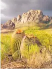  ?? COURTESY OF ORGAN MOUNTAINSD­ESERT PEAKS NATIONAL MONUMENT ?? The Organ Mountains-Desert Peaks National Monument is one of two monuments in New Mexico that are under review by the Department of the Interior.