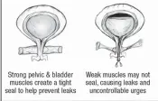  ??  ?? Less Leaking... A new blend of unique plant extracts is helping people get better bladder control by improving the strength of bladder muscles. The result is less leaking, fewer accidents and a reduction in pad and diaper use. This blend is found in the new Uritrox pill.