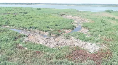  ??  ?? En esta zona de la bahía, donde desemboca el arroyo Antequera, se acumula a diario todo tipo de desechos. El montículo genera un mal olor y pone en riesgo la calidad del agua.