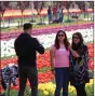  ?? ?? Tourists at the Tulip Garden, in Srinagar on 6 April 2023. ANI