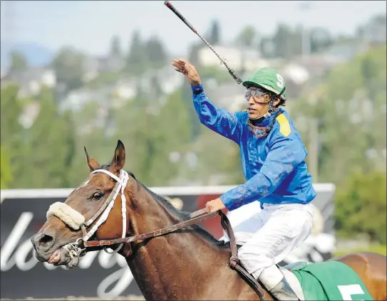  ?? GERRY KAHRMANN/PNG FILES ?? Pedro Alvarado tosses his riding crop after winning the Redekop B.C. Cup Classic at Hastings Racecourse in 2010. After retiring as a jockey after last season, Alvarado has made a quick transition and is now a successful trainer.