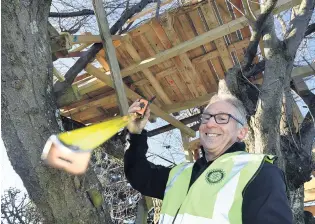  ?? PHOTO: STEPHEN JAQUIERY ?? By the book . . . Mosgiel Rotary Club member Peter Seddon prepares to take the final measuremen­ts of the treehouse in Mosgiel, which attracted the attention of the Dunedin City Council’s building inspectors, before its rebuild today.