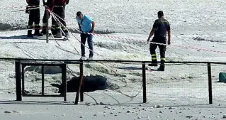  ??  ?? I rilievi I vigili del fuoco sulla solfatara di Pozzuoli, ora analizzata da sette esperti