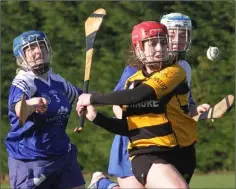  ??  ?? Siobhán Finn (Craanford-Monaseed) tries to hook Shauna O’Connor.