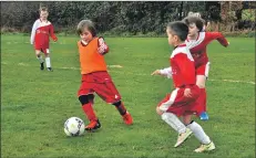  ?? 01_A03footy14 ?? A St Cadoc’s player is surrounded by Arran defenders.