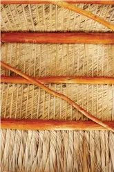  ??  ?? The ropelike fibers of a thatched roof are made from the fronds of the sabal palm.