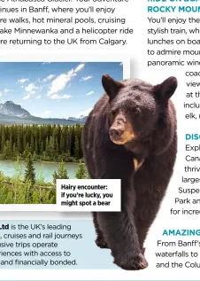  ??  ?? Hairy encounter: if you’re lucky, you might spot a bear