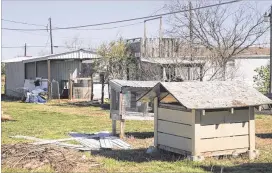  ?? JAY JANNER / AMERICAN-STATESMAN ?? Animal enclosures stand empty Tuesday in the backyard of a house on Misty Drive in Uhland where 430 animals were seized Monday by Caldwell County sheriff’s deputies and the SPCA of Dallas. Two UT Animal Resources Center employees, Joseph Flores and...