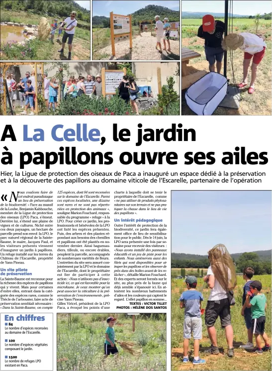  ??  ?? «Nous voulions faire de cet endroit paradisiaq­ue un lieu de préservati­on de la biodiversi­té. » Face au massif de la Loube, Benjamin Kabbouche, membre de la Ligue de protection des oiseaux (LPO) Paca, s’émeut. Derrière lui, s’étend une plaine de vignes...