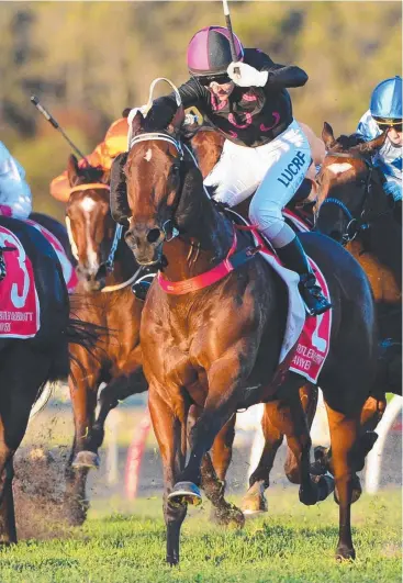  ?? Picture: AAP IMAGE/TRACKSIDE PHOTOGRAPH­Y ?? WINNING COMBINATIO­N: Jockey Skye Bogenhuber rides The Monstar to victory in the Moreton Cup.