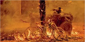  ??  ?? A bicycle and palm tree burn at a residence during the LNU Lightning Complex fire in the Spanish Flat area of Napa, California. (AFP)