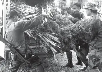  ?? PHILSTAR.COM FILE PHOTO ?? PDEA said it would be impossible to grow marijuana in Baguio City without being detected.