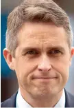  ??  ?? Minister Gavin Williamson