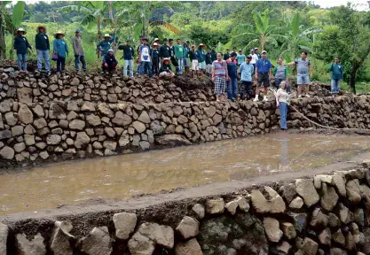  ?? PHOTO FROM DEPARTMENT OF AGRICULTUR­E CENTRAL MINDANAO ?? WORKERS and agricultur­e officials pose for a souvenir picture on the rock walls that will form the future rice terraces of Arakan, North Cotabato.