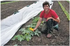  ?? 01_B26farm03 ?? Andy tends to the already flowering courgettes.