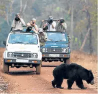  ?? Pictures: PA. ?? Clockwise from left: sunset in Tadoba National Park; a collared tiger in the park; tourists watch a sloth bear cross the road; one of the park’s wild dogs and one of its tracks.