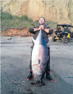  ??  ?? Aaron Cossill with the huge tuna he manhandled out of the sea at Ripiro Beach on Northland’s west coast on Saturday.