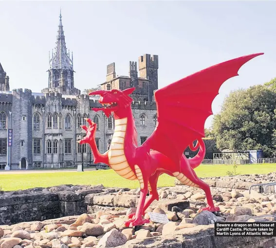  ??  ?? Beware a dragon on the loose at Cardiff Castle. Picture taken by Martin Lyons of Atlantic Wharf