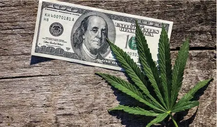  ?? ?? Con un tipo medio del 15%, California es la región estadounid­ense que más ingresa gracias al cannabis, mientras que Washington es el estado con más cargas, con un gravamen del 37%, e Illinois el más favorable, con un 7%.