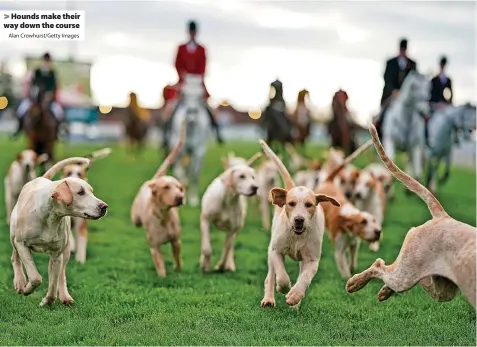  ?? Alan Crowhurst/Getty Images ?? Hounds make their way down the course