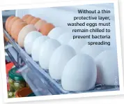  ??  ?? Without a thin protective layer, washed eggs must remain chilled to prevent bacteria spreading