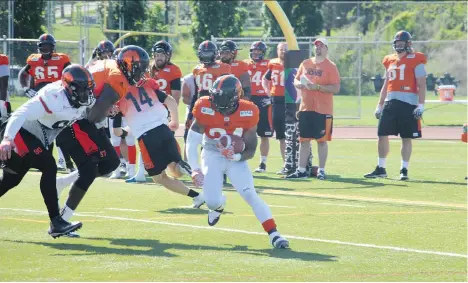  ?? B.C. LIONS ?? The B.C. Lions are getting ready to make their first round of player cuts following intense workouts at their training camp in Kamloops.