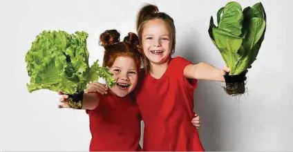  ?? Foto: Shuttersto­ck ?? Blattsalat­e zählen beim „Antidepres­sant Food Score“(AFS) zu den Spitzenrei­tern.