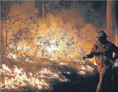  ?? Picture: AP. ?? Firefighte­rs control flames during hazard reduction in Bilpin, 75 kilometres from Sydney, Australia.
