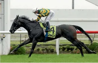  ??  ?? Azaboy scored a front-winning win in the Gr2 Valachi Downs Championsh­ip Stakes at Pukekohe on Saturday.