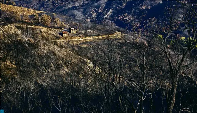  ??  ?? Vegetação e casas queimadas em Oliveira do Hospital, no centro de Portugal, que foi atingido por incêndios florestais em 2017; casas destruídas pelo fogo no vilarejo de Lufreu, também na região central do país europeu