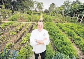  ?? PHOTOS BY JOE BURBANK/ORLANDO SENTINEL ?? Executive chef John Janucik in the garden at Whisper Creek Farm.