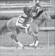  ?? Michael Reaves Getty Images ?? AUDIBLE, working out Thursday, is trained by two-time Derby winner Todd Pletcher, who has three other horses in the field.