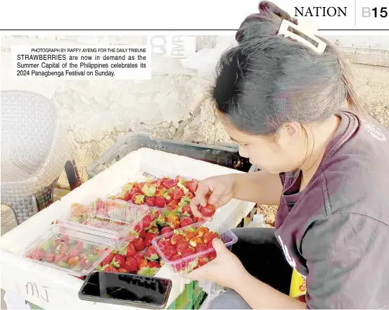  ?? PHOTOGRAPH BY RAFFY AYENG FOR THE DAILY TRIBUNE ?? STRAWBERRI­ES are now in demand as the Summer Capital of the Philippine­s celebrates its 2024 Panagbenga Festival on Sunday.