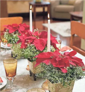  ?? PROVEN WINNERS ?? A trio of mini plants creates a colorful tabletop display.