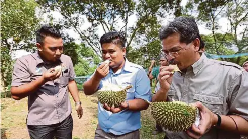  ??  ?? KEENAKAN durian Jelebu memang diakui sedap.