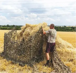  ??  ?? Once the poles are in place, hang the netting all the way along the hide and back again