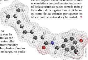  ??  ?? Caerás en sus redes. Estructura molecular de la capsaicina, compuesto químico responsabl­e del picor de los chiles y que resulta irritante para los mamíferos pero inocuo para la mayoría de las aves.