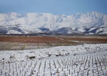  ??  ?? Right: Doña Paula’s Finca Alluvia vineyard in Gualtallar­y, located 1,350m above sea level