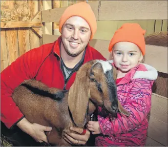  ?? KEVIN ADSHADE/THE NEWS ?? Brian Affleck and his daughter Autumn with Louise, a goat that until Tuesday had evaded capture for five weeks.