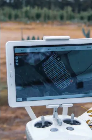  ??  ?? Top: Together, satellite imagery and drone footage can create powerful data-driven images. Above: Drone footage of an orchard can work with AI to predict potential yield.