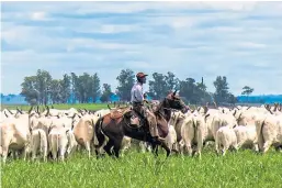  ?? Picture: Getty Images. ?? Opposition to the planned Mercosur trade deal with South American countries like Brazil is growing.