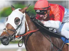  ?? Picture: AAP ?? SHEDDING KILOS: Jockey James Orman is cutting weight for his ride in the Stradbroke Handicap tomorrow.