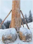  ?? FOTO: KNAPPMAYER/DPA ?? Die erste Penis-Skulptur auf dem Grünten ist verschwund­en. Wer das neue Kunstwerk aufgestell­t hat, ist unklar.