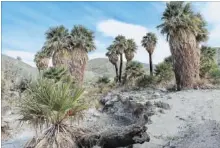  ?? ALEX PULASKI FOR THE WASHINGTON POST ?? Harsh landscapes abound along the San Andreas Fault near Palm Springs.