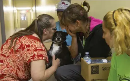  ?? CHRIS SO/TORONTO STAR ?? Sharon Joyce, left, takes care of Sophie, the dog belonging to 10-year-old Nicolas Gabriel, who died in the fire Sunday morning.