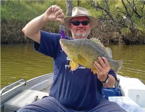  ?? PHOTO: CONTRIBUTE­D ?? WISE WAYS: Gavan Wise with a nice yellowbell­y caught down in the border rivers area.