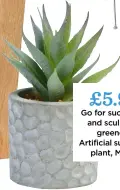  ??  ?? £5.99 Go for succulents and sculptural greenery. Artificial succulent plant, M&CO