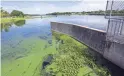  ?? LYNNE SLADKY/AP FILE ?? An algae bloom appears on the Caloosahat­chee River at the W.P. Franklin Lock and Dam in Alva, Fla., in 2018.