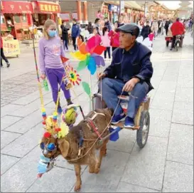  ?? ERIK NILSSON / CHINA DAILY ?? An elderly farmer rides a two-wheeled cart drawn by a goat on Yongning ancient town’s main pedestrian street in Beijing’s Yanqing district.