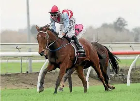  ?? NZ RACING DESK ?? Catarina (Michael Coleman) completes a winning double at Pukekohe on Saturday.